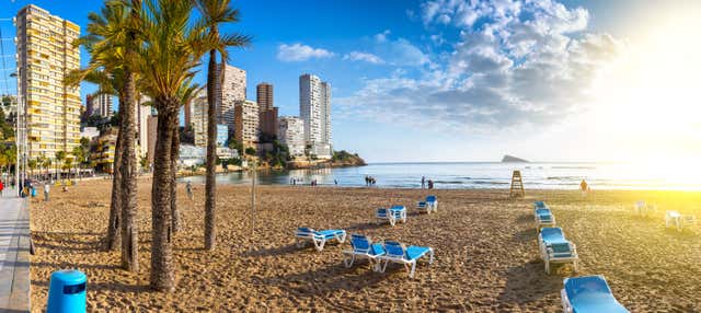 Free tour por Benidorm en Benidorm