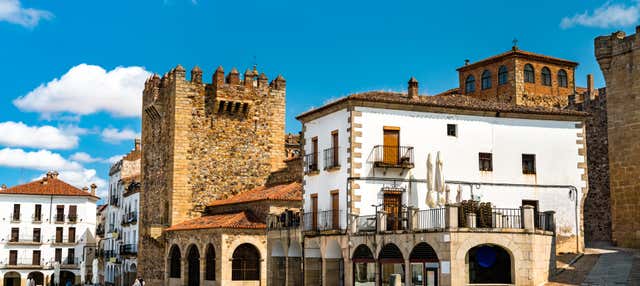 Free tour por Cáceres en Caceres