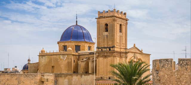 Free tour por Elche en Elche