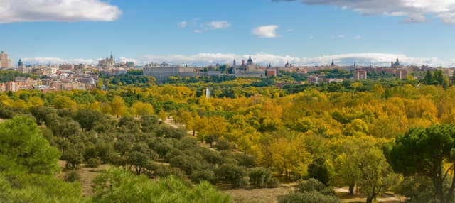Free tour por la Casa de Campo en Madrid
