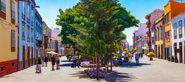 Free tour por La Laguna en San Cristobal De La Laguna