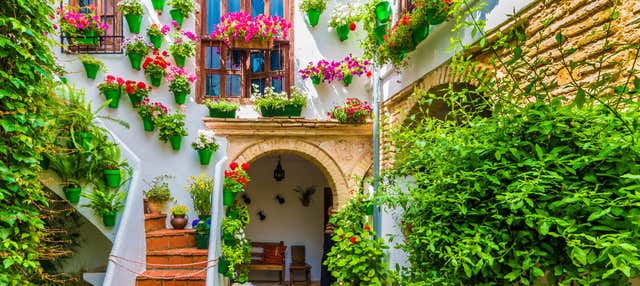 Free tour por los patios de Córdoba en Cordoba