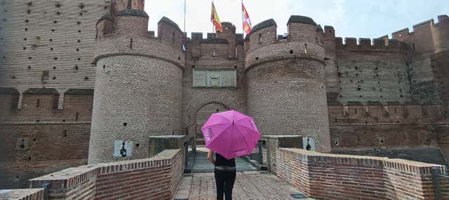 Free tour por Medina del Campo en Medina Del Campo