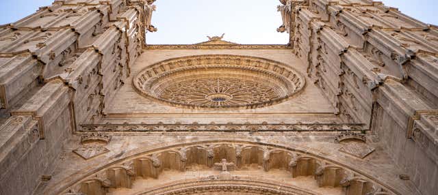 Free tour por Palma de Mallorca en Palma Mallorca