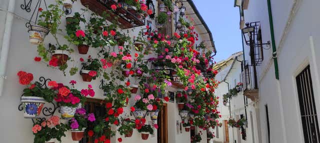 Free tour por Priego de Córdoba en Priego De Cordoba