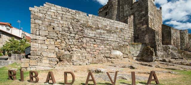 Free tour por Ribadavia en Ribadavia