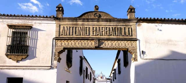 Free tour por Sanlúcar de Barrameda en Sanlucar De Barrameda