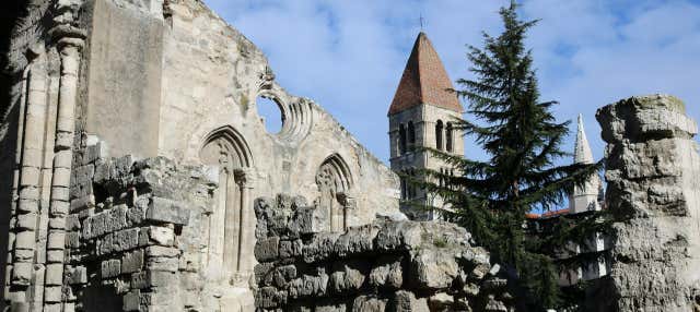 Free tour por Valladolid en Valladolid