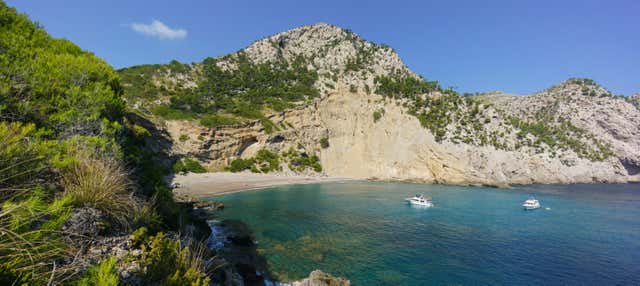 Kayak, snorkel y coasteering en la bahía de Alcudia en Alcudia