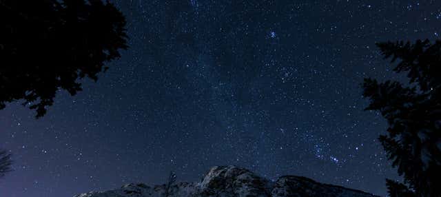 Observación de estrellas en el bosque vetón de Cabezabellosa en Cabezabellosa