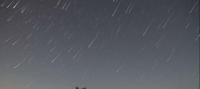 Observación de estrellas en los campos de lavanda en El Romeral