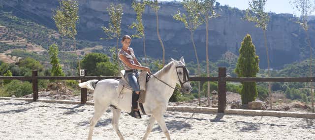 Paseo a caballo por Doñana y el Aljarafe en Sevilla