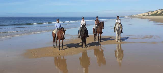 Paseo a caballo por Doñana en Mazagon