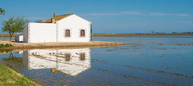 Paseo a caballo por el Delta del Ebro en Deltebre