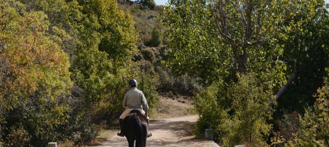 Paseo a caballo por el Parque Nacional de Guadarrama en Collado Mediano