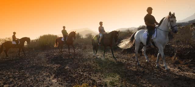 Paseo a caballo por el sur de Tenerife en Arona