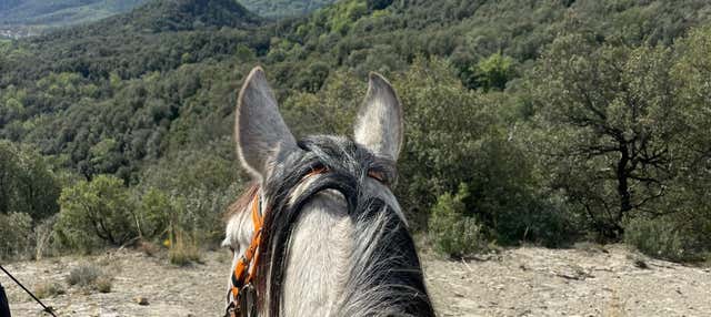 Paseo a caballo por la Garrocha en Las Planas