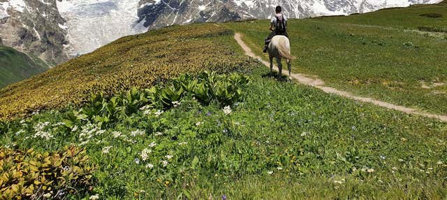 Paseo a caballo por los Picos de Europa en Fuente De