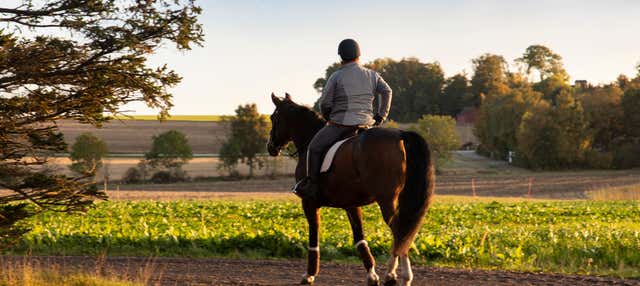 Paseo a caballo por Randa en Palma Mallorca