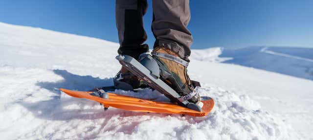 Paseo con raquetas de nieve por el pico Torres en La Raya