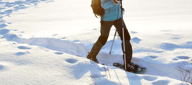 Paseo con raquetas de nieve por Fuentes de Invierno en La Raya