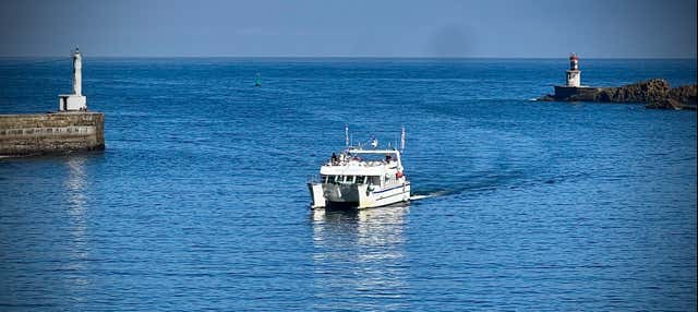 Paseo en barco a Pasajes + Entrada al Museo Factoría Albaola en San Sebastian