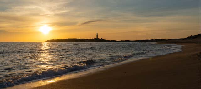 Paseo en barco al atardecer por el Cabo de Trafalgar en Barbate