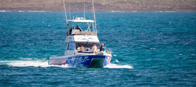 Paseo en barco con avistamiento de cetáceos por Corralejo en Corralejo