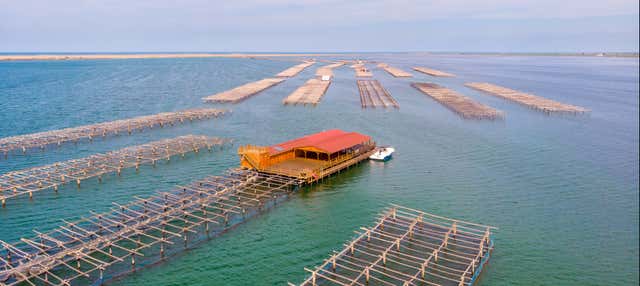Paseo en barco con degustación de ostras y mejillones en L Ampolla