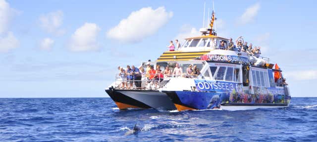 Paseo en barco con fondo de cristal en Morro Jable