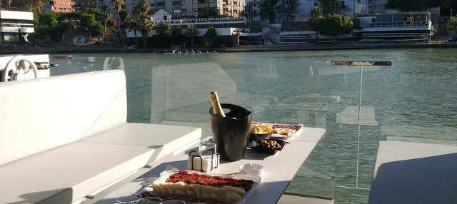 Paseo en barco ecológico por el río Guadalquivir en Sevilla