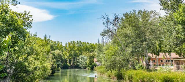 Paseo en barco por Aranjuez en Aranjuez