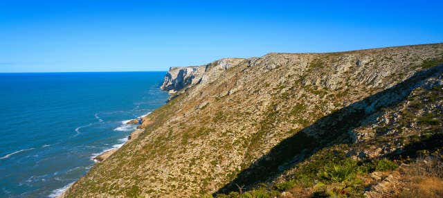 Paseo en barco por el Cabo San Antonio en Denia