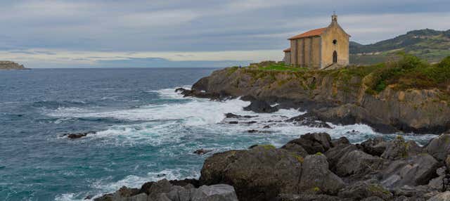 Paseo en barco por la costa de Urdaibai en Bermeo