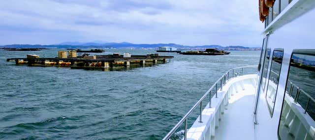 Paseo en barco por la ría de Arosa con comida en El Grove