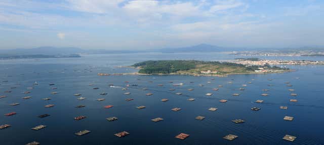 Paseo en barco por la Ría de Vigo + Degustación de mejillones en Cangas Morrazo