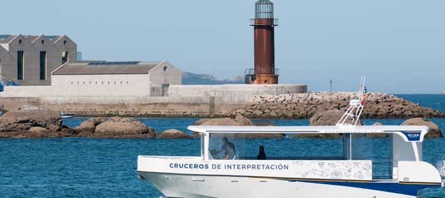 Paseo en barco por la ría de Vigo en Vigo