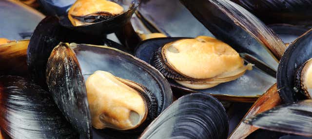 Paseo en barco por la ría + Degustación de mejillones en El Grove
