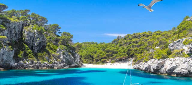 Paseo en barco por las calas del sur desde Cala Galdana en Cala Galdana