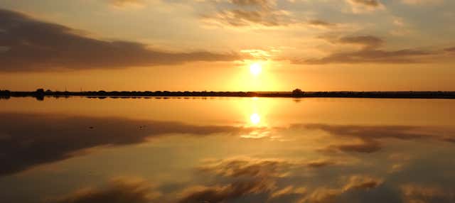 Paseo en barco por las marismas del Odiel al atardecer en Punta Umbria