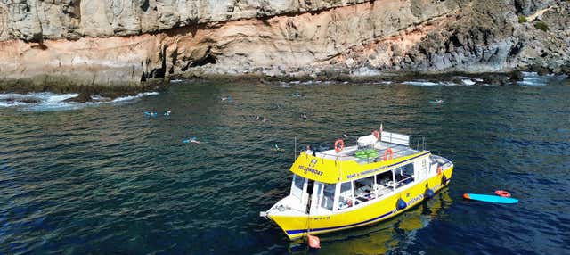 Paseo en barco por Puerto de Mogán + Snorkel en Puerto De Mogan