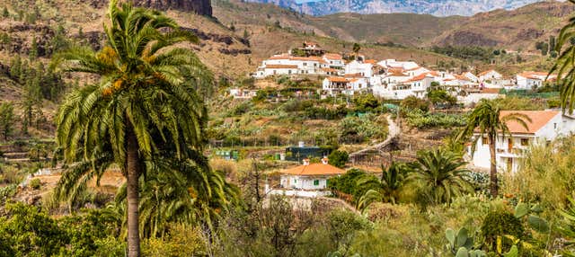 Paseo en camello por el Valle de las Mil Palmeras en Maspalomas