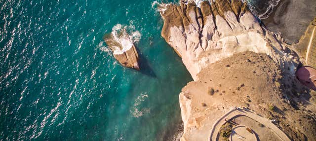 Paseo en catamarán ecológico con avistamiento y escucha de cetáceos en Costa Adeje