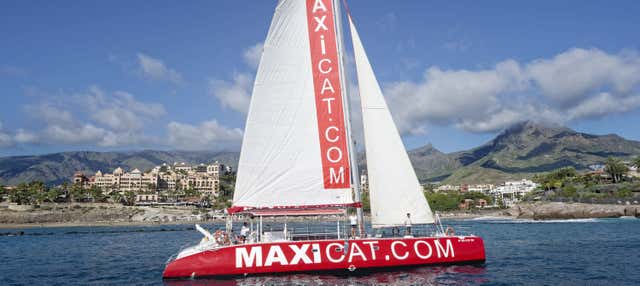 Paseo en catamarán por Costa Adeje en Playa De Las Americas