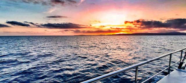 Paseo en catamarán por la bahía de Palma al atardecer en El Arenal