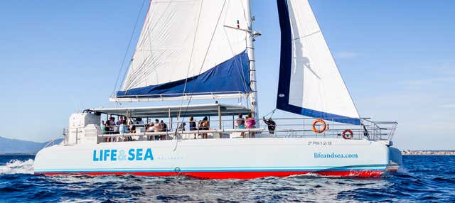 Paseo en catamarán por la bahía de Palma con barbacoa en El Arenal