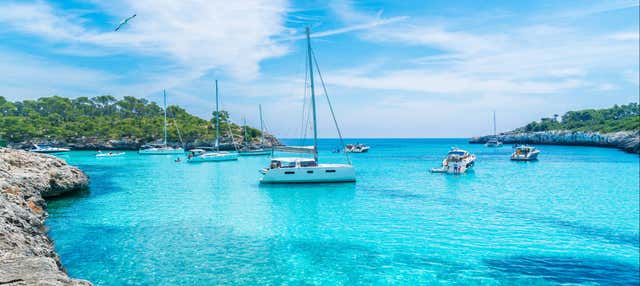 Paseo en catamarán por la bahía de Palma en Palma Mallorca