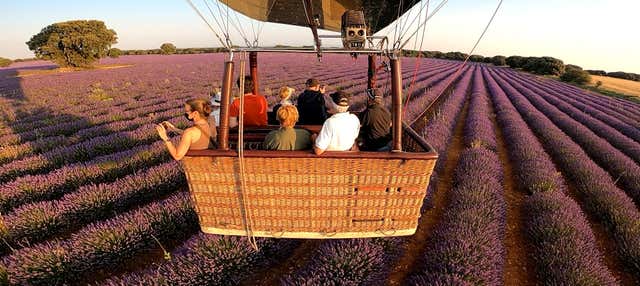 Paseo en globo por los campos de lavanda de Brihuega en Brihuega