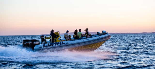 Paseo en lancha rápida por la bahía de Palma en El Arenal