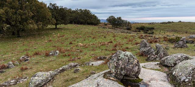 Senderismo por el bosque vetón de Cabezabellosa en Cabezabellosa